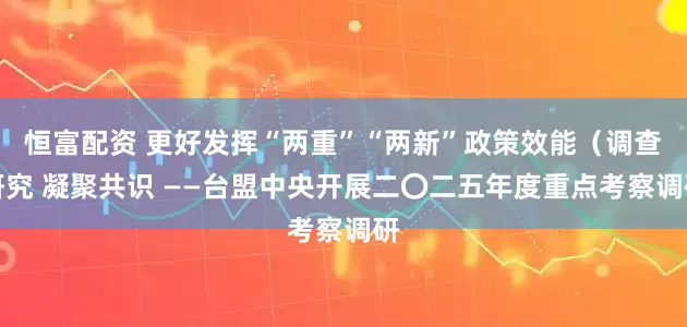 恒富配资 更好发挥“两重”“两新”政策效能（调查研究 凝聚共识 ——台盟中央开展二〇二五年度重点考察调研