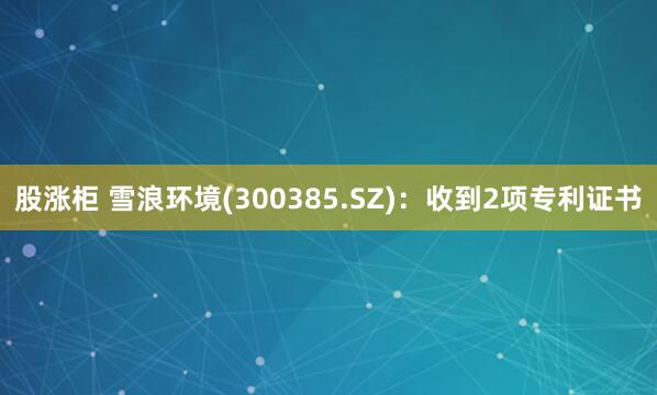 股涨柜 雪浪环境(300385.SZ)：收到2项专利证书